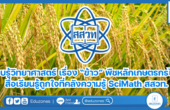 รอบรู้วิทยาศาสตร์ เรื่อง “ข้าว” พืชหลักเกษตรกรไทย สื่อเรียนรู้ถูกใจที่คลังความรู้ SciMath สสวท.