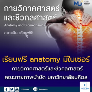 คณะกายภาพบำบัด-มหาวิทยาลัยมหิดล