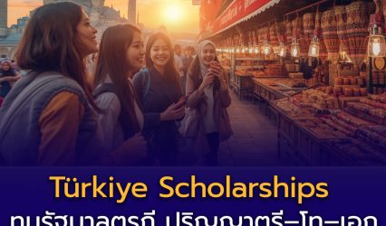 Türkiye Scholarships