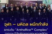 จุฬา – มหิดล ผนึกกำลังยกระดับ “AnthoRice™ Complex” จากงานวิจัยสู่การทดสอบทางคลินิกรพ.ศิริราช