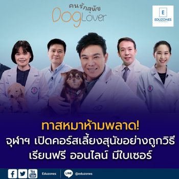 จุฬาฯ เปิดคอร์ส “เลี้ยงสุนัขอย่างถูกวิธี” เรียนฟรี ออนไลน์ มีใบเซอร์